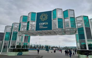 COP29