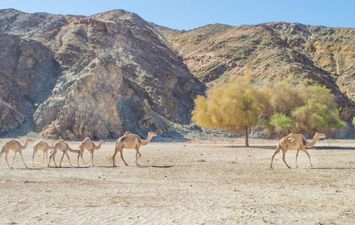 قريتي &laquo;غرب سهيل&raquo; و&laquo;أبو غصون&raquo; 