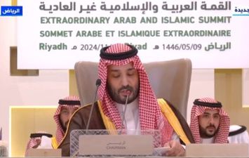 ولي العهد السعودي محمد بن سلمان