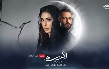 مسلسل الاميرة