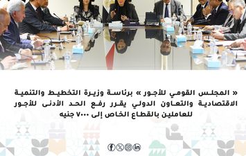 وزيرة التخطيط و التعاون الدولى 