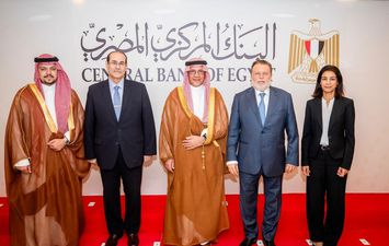 البنك المركزي المصري 