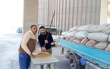 جانب من التوريد 