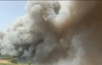 جانب من الحريق 