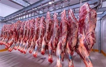 أسباب عدم استقرار أسعار اللحوم مقارنة بالسلع التموينية 