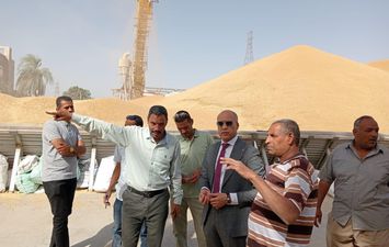 جانب من توريد القمح في قنا 