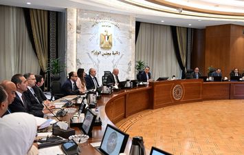 أيمن العشري 