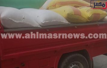 البحيرة