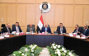 المجموعة الوزارية للتنمية الصناعية