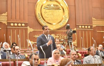 النائب مصطفي الكحيلي
