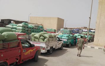 جانب من التوريد 