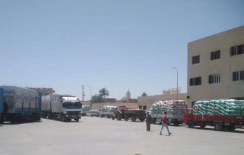 جانب من توريد محصول القمح 