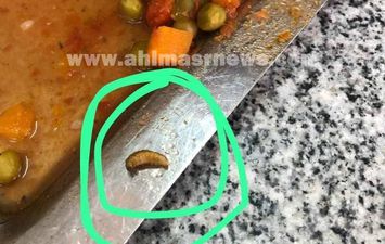 صور للطعام 