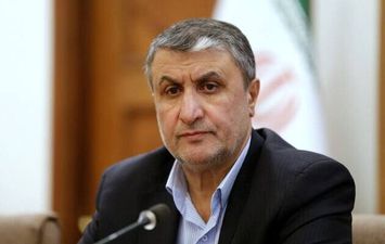 محمد إسلامي، رئيس منظمة الطاقة الذرية الإيرانية
