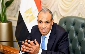 وزير الخارجية المصري
