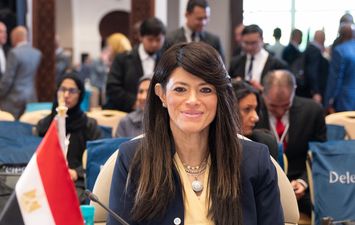 وزيرة التخطيط والتعاون الدولى 