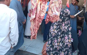 جانب من الحملات 