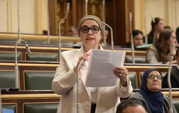 النائبة سميرة الجزار 