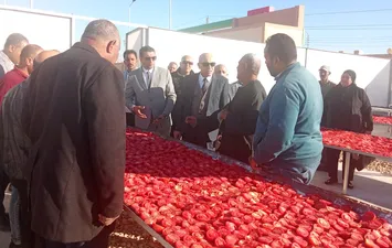 المشروعات 