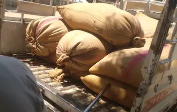 المضبوطات