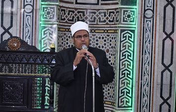 الفاعلية 