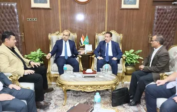 المنوفية