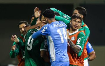 بالميراس البرازيلي 