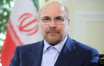 رئيس مجلس الشوري الأيراني