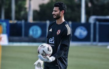 محمد الشناوي
