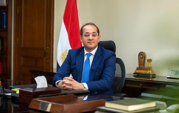 وزير المالية