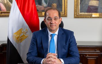وزير المالية 