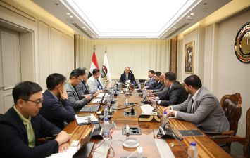 وزير قطاع الاعمال