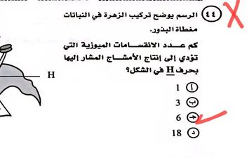 امتحان الأحياء 