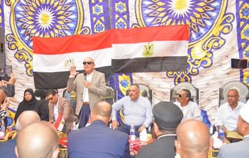 الفاعلية 