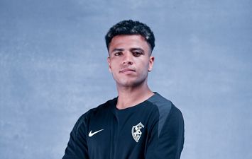 أحمد ربيع 