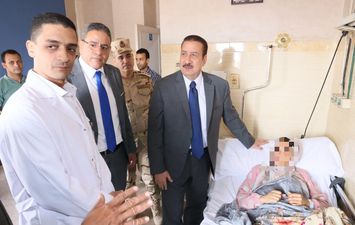 المنوفية