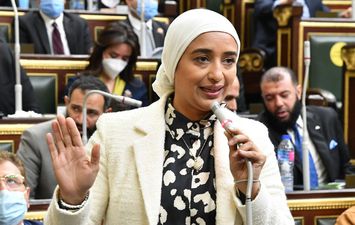 النائبة أميرة أبو شقة 