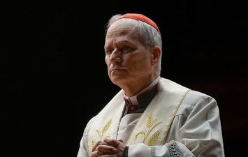 لاون 14، بابا الفاتيكان