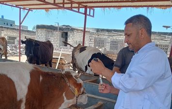 انطلاق الحملة القومية للتحصين ضد الحمى القلاعية وحمى الوادي المتصدع