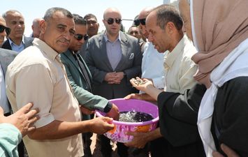 مشروع الاستزراع السمكي ببنى سويف 