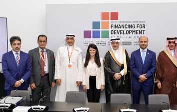 وزيرة التخطيط والتعاون الدولى 