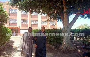 المسن 