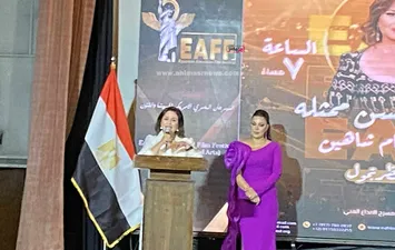 المهرجان المصري الأمريكي للسينما والفنون 