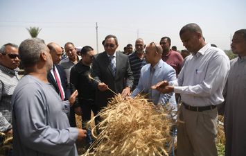 موسم توريد القمح في قنا 