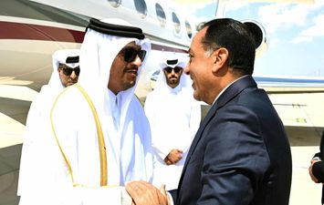 جانب من الاستقبال