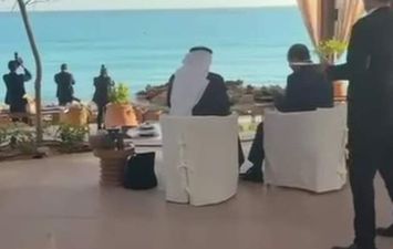 السيسي وبن زايد في العلمين 