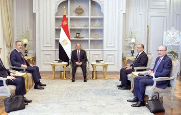السيسي ووزير خارجية تركيا