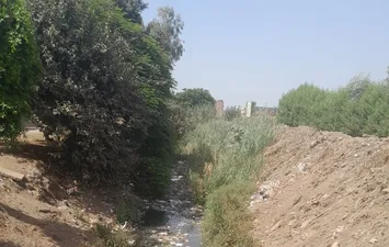 المصرف 