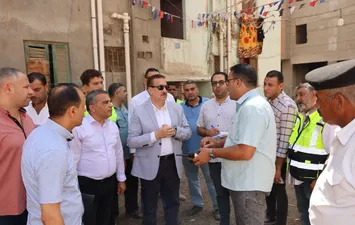المنوفية