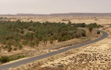 جارة ام الصغير بواحة سيوة